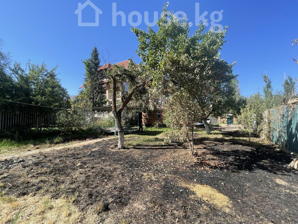 Фото объявления